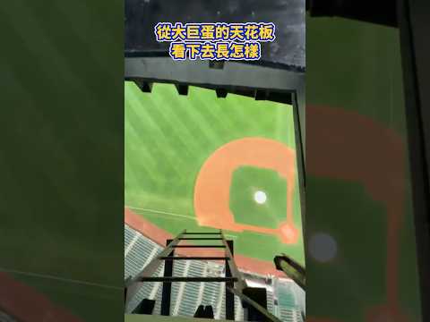 從大巨蛋的天花板看下去長怎樣？我看到腳都已經軟了🤣#mlb #大巨蛋