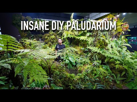 Breathtaking Paludarium & Aquarium Gallery Tour!!