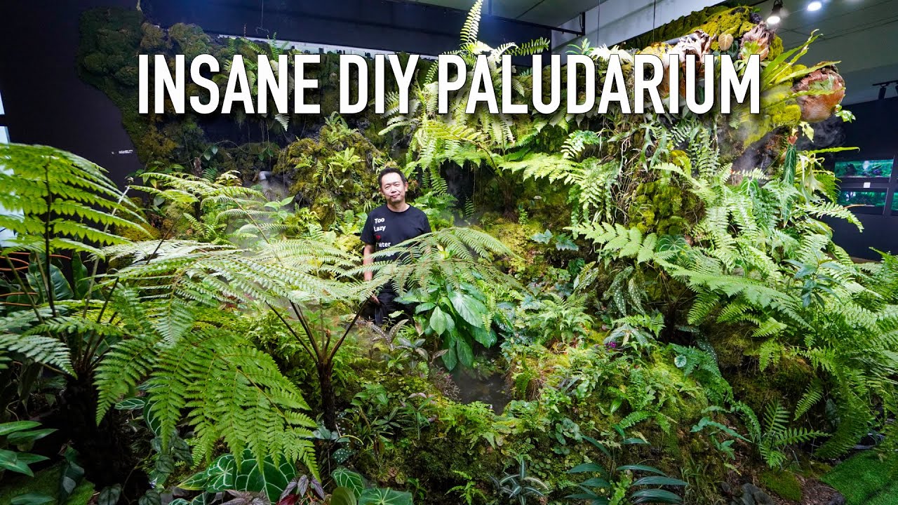 Breathtaking Paludarium & Aquarium Gallery Tour!!