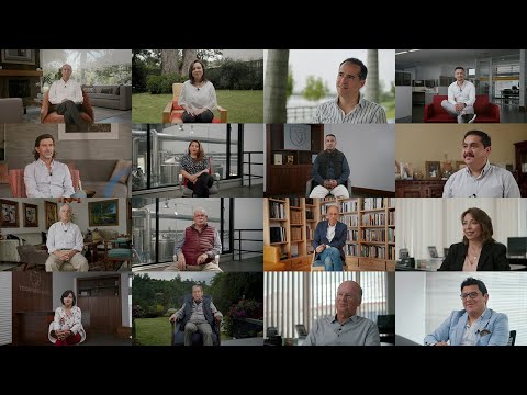 Tecniseguros | Manifiesto | Fresh Cut Films