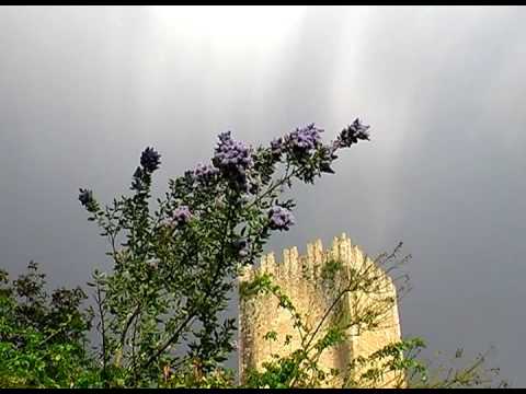 Oasi di Ninfa - Rovine e Giardini - Garden of Ninfa - Italy