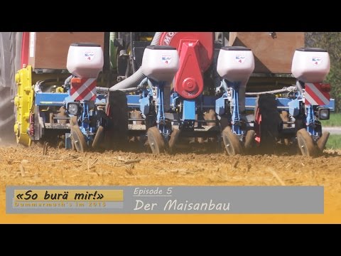 «So burä mir!» Episode 5: Der Maisanbau