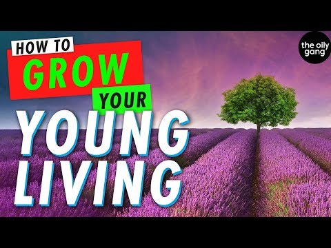 HOW TO CREATE A BUSINESS WITH YOUNG LIVING |  Free Course with strategies for success | Video