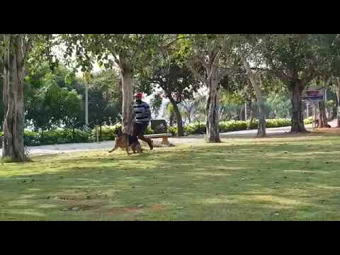 vanessia von aurelius