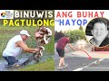Mga HAYOP na HUMINGI ng TULONG sa TAO | Animals asking Help from Humans