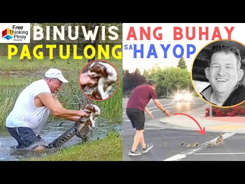 Mga HAYOP na HUMINGI ng TULONG sa TAO | Animals asking Help from Humans