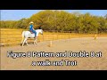 Figure 8 and Double Figure 8 Pattern at a Trot - Exercise to get better turns and better control