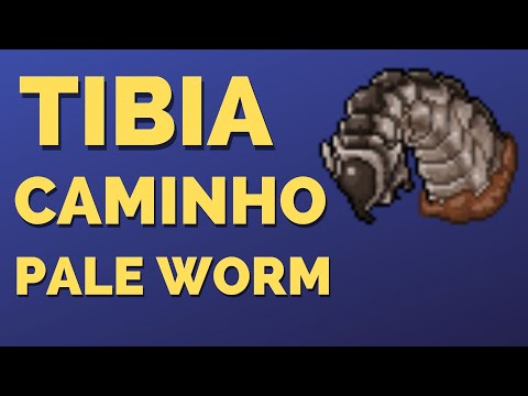 Pale Worm Tibia Path