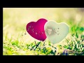 Palke Uthake Dekhie Most Heart Touching Evergreen Song For Ever