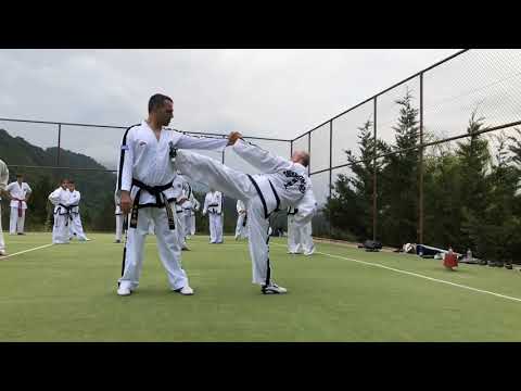 EL CAMINO MARCIAL (DO) #48 GM VASILIS ALEXANDRIS