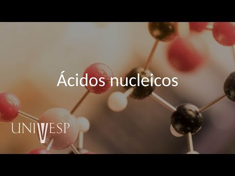 Bioquímica - Ácidos nucleicos | Aula 11