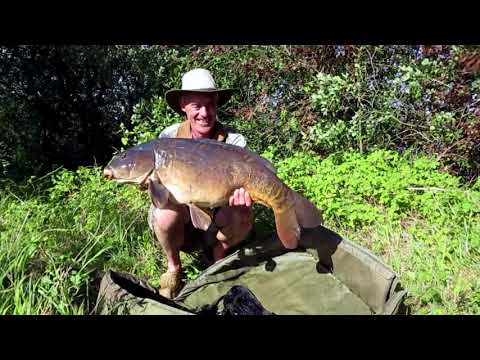 Dave Lane Carp Blog - A gnarly old original for Laney at last!