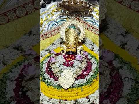 খাটু শ্যাম / खाटू श्याम / Khatushyam  #khatushyam #india #vlog #durgapur #viral #5k #mandir #ytshort