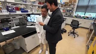 Researchers at Virginia Tech test wearable patch that can prevent an overdose