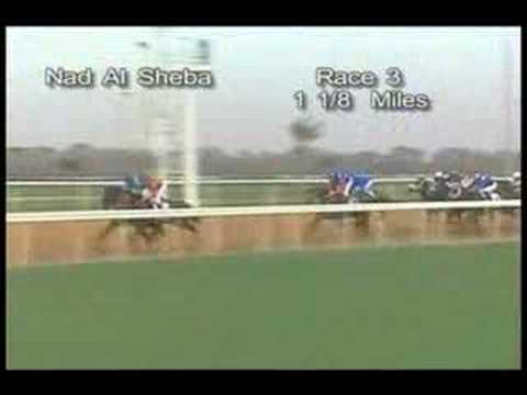 Discreet Cat - UAE Derby 2006