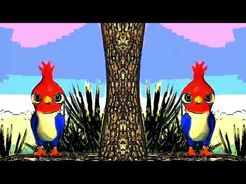 No Te burles Pajaron y Gaita Pajarona juntos