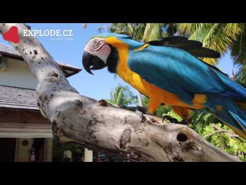 Paradise Island Resort and Spa | 4K | @ explode.cz