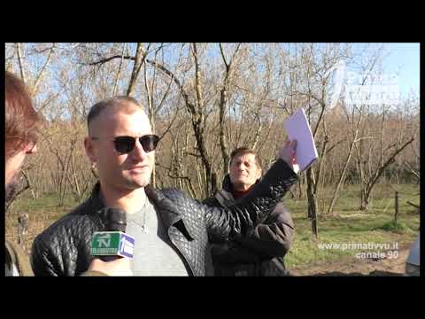 Capriglia Irpina, il degrado del ponte ridotto a discarica