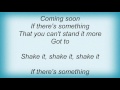 Revenge - Shake It Lyrics
