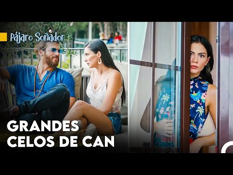 ¡Se Vive Un Amor Prohibido En Esta Oficina!  - Pájaro Soñador