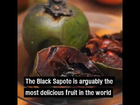 Fruit with taste of chocolate