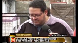 preview picture of video 'CRIADEROS DE PERROS DOGO ARGENTINO EN MARCOS JUAREZ POSTA ESPINILLOS NEW'