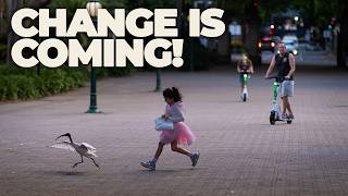 Live: Changes coming on THE Brisbane Channel.