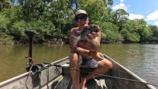 Bream in the a.m and BlueGabe and Crystal Beachy finally down here catching mullet!#fishing 