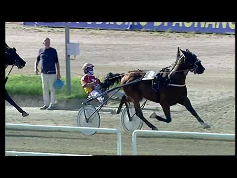 Napoli Trotto 21/05/2021 - 8ª corsa - TRIS