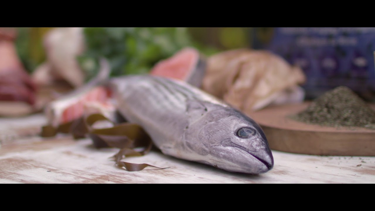 Watch video Black Hawk Philosophy Now Black Hawk Philosophy