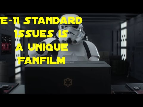 E-11 Standard Issues Review
