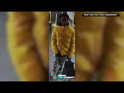 NYPD Hate Crime Suspect