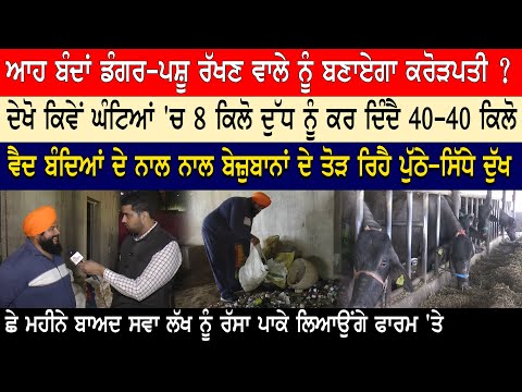 Diarrhea medicines for cows and goats