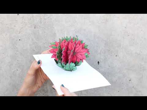 Cheerful Poinsettia Holiday Cards (Box of 8)