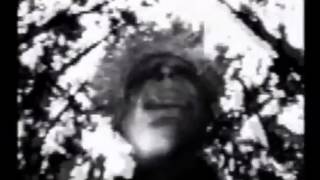 Sparklehorse - Pig (Official Video)