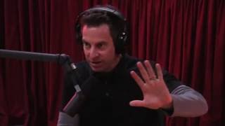 JRE 804 - Sam Harris on AI (from Joe Rogan Experience 804)