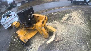 preview picture of video 'Tree Services of Omaha - Stump Removal 12/14/14'