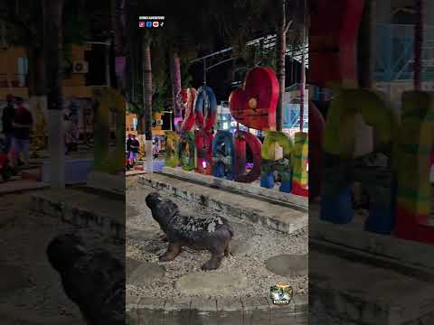 SONSÓN, UN MUNICIPIO DEL ORIENTE ANTIOQUEÑO GIGANTE,  QUE LO TIENE TODO.RUTA DEL CAFÉ