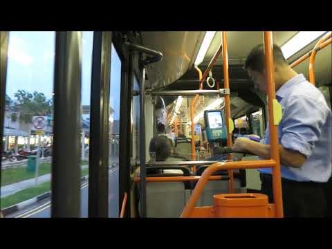 SMRT: TIB1093H ZF Kickdowns (Svc 67) - MB O405G