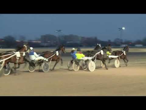 2017.02.11. 7. futam - DEER DUST HENDIKEP