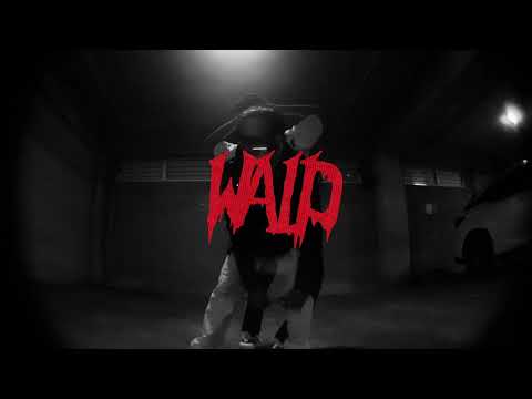 toxicdev! - WALD (Official Video)