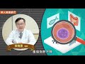 癌症治療花費竟逼國產新車！全方位癌症基因檢測助癌友精準治療不繞路
