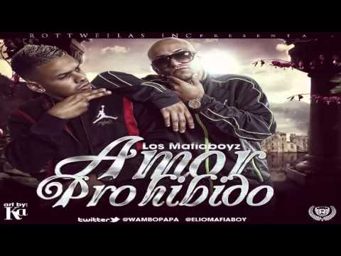 Amor Prohibido ~ Elio y Wambo (Los Mafiaboyz) ◄REGGAETON 2013►