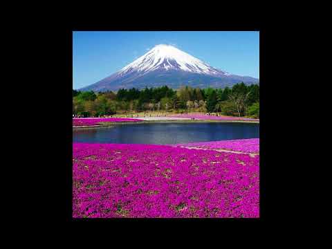 [FREE] Bushi x La Fève x Saturn Citizen type beat - "Désillusion" (prod. Ghost Key)