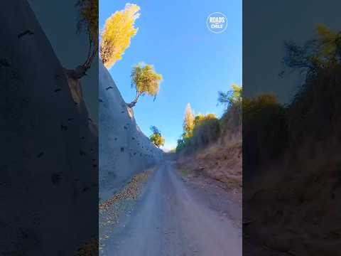 Ruta por San Esteban: Corazón del Aconcagua 🇨🇱