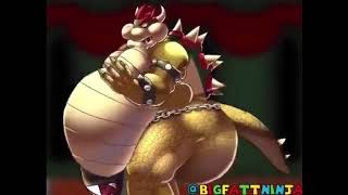 Bowser gassy 