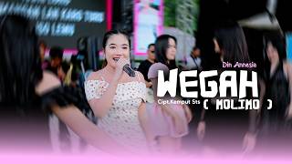 Download lagu WEGAH ( MOLIMO ) - DIN ANNESIA | STS MANAGEMENT ( LIVE MUSIC) mp3