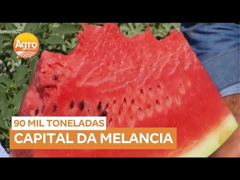 Cidade de Uruana (GO) é reconhecida como a capital da melancia no Brasil