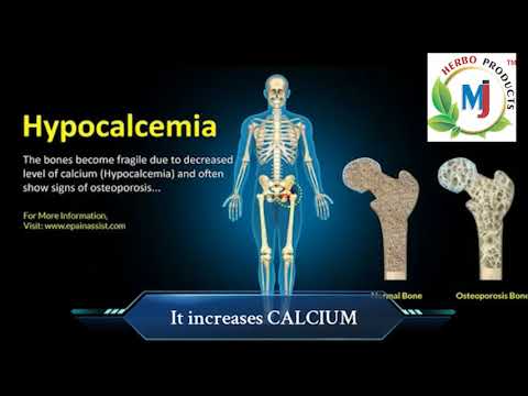 Dryfruit Talbina Powder, Pack Size: 250 gm