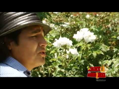 AYLLUS PERU - LA MALA SUERTE QUE ERES CASADA